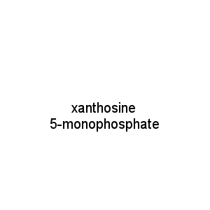 xanthosine 5-monophosphate